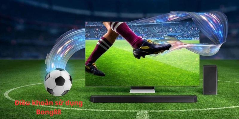 Mục tiêu đặt ra các điều khoản là gì