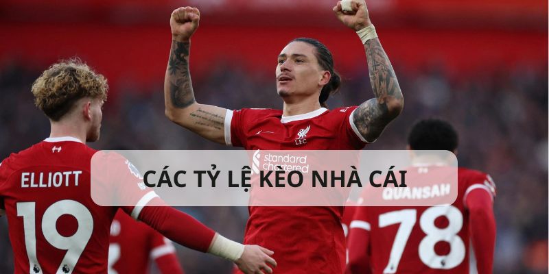 Một số tỷ lệ kèo nhà cái gần gũi với người chơi tại Bong88 Một số tỷ lệ kèo nhà cái gần gũi với người chơi tại Bong88